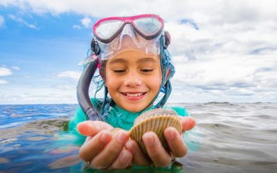 Crystal River Scalloping Guide: Top Charters and Tips