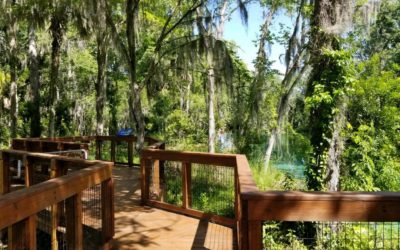 Explore Crystal River National Wildlife Refuge