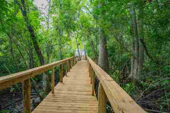 Wooden boardwalk through the trees leading to the dock at Hideout Heights Rental.