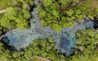 Aerial view of Three Sisters Springs in Crystal River with lush greenery and clear turquoise waters, featuring kayakers paddling through the springs.